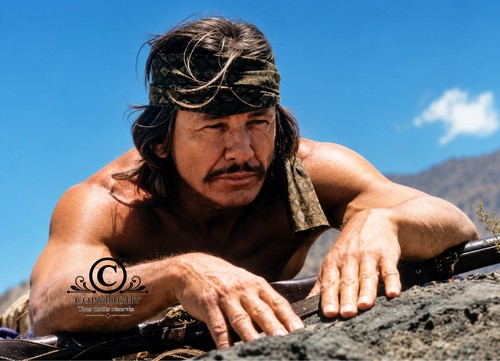 Photo charles bronson - charles, À