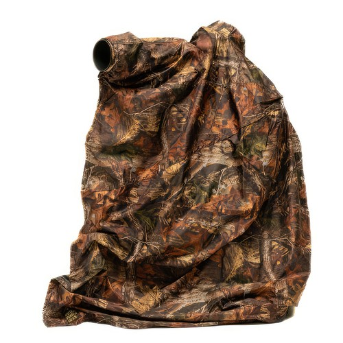 Buteo photo gear falco - photo,